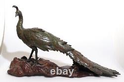 A Fine Japanese Bronze Okimono of a Peacock by Akasofu Gyokko Meiji Japan