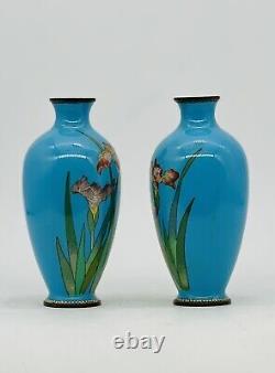 A Fine Japanese Cloisonné Enamel Pair Of Vases With Irises. Meiji Era