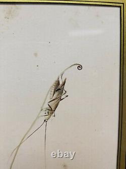 Antique Fine Japanese Gouache Watercolor Painting Cricket Grasshopper Chinese