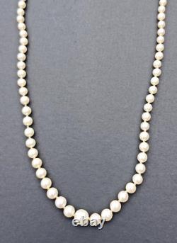 Antique Mikimoto Graduating Japanese Akoya Pearl Necklace Sterling Clasp in Box