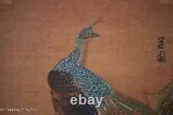 Beautiful Antique Japanese Woodblock Gouache Peacock and Flower Signed & FINE