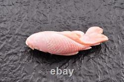 Certificate, Japan antique Coral, (1.92 inches, 90 carats) Carved Carp OBIDOME