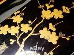 FINE Gold Nashiji Makie Lacquer Box Japanese Original Edo Inro Antique