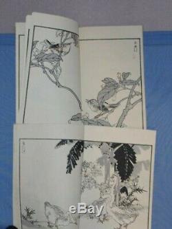 Fine 19thC Japanese Edo Antique Woodblock Printed Book Of Beautiful Birds x 2
