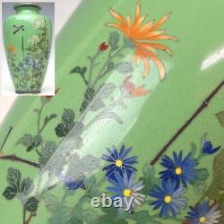Fine Japanese Antique Cloisonne Enamel Vase Bird Flowers Silver Rims Meiji 7.1