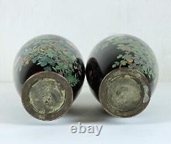 Fine Pair of Japanese Meiji Cloisonné Vases, Height 30cm