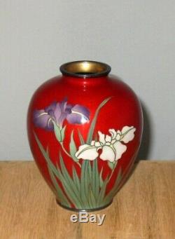 Fine Vintage Japanese Cloisonne Enamel Vase with Iris-Unique Coloring Excellent