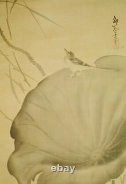 JAPANESE PAINTING HANGING SCROLL 66.9 Lotus Antique Bird FINE ART Japan b175
