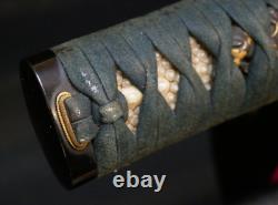 Japanese Edo Wakizashi otanto Koshirae Mounts Sword Signed'Mori Mitsu', Fine