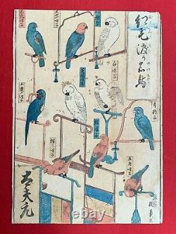 Kunikazu Fine imported birds 1850 Authentic Japanese woodblock print