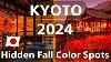 Kyoto S Autumn Color Attractions To Visit In 2024 Autumn Leaves Foliage Japanese Garden