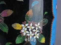 MEIJI Era CLOISONNE Vase Pot 9.6 inch tall Japanese Fine art Antique no box Used