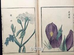 Org BAIREI Flowers Colored Woodcut album Japanese Woodblock print Book 1st ED #2