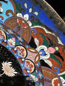 Rare 1800's Fine Antique Japanese Meiji Cloisonné Enamel Floral Bronze Plate 14