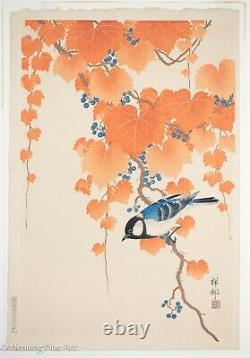 Rare Ohara Koson Shoson Japanese Woodblock Tit on Wild Grapes FINE