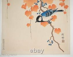 Rare Ohara Koson Shoson Japanese Woodblock Tit on Wild Grapes FINE