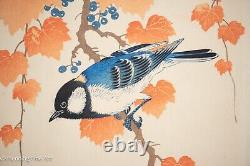 Rare Ohara Koson Shoson Japanese Woodblock Tit on Wild Grapes FINE