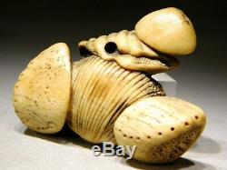 Very fine Antler NETSUKE Shells 18-19thC Japanese Edo Original Antique for Inro