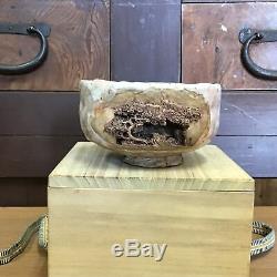 Y1030 CHAWAN Niroku-ware signed box fine work Japanese pottery antique bowl